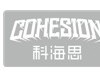 TuLSION 樹脂