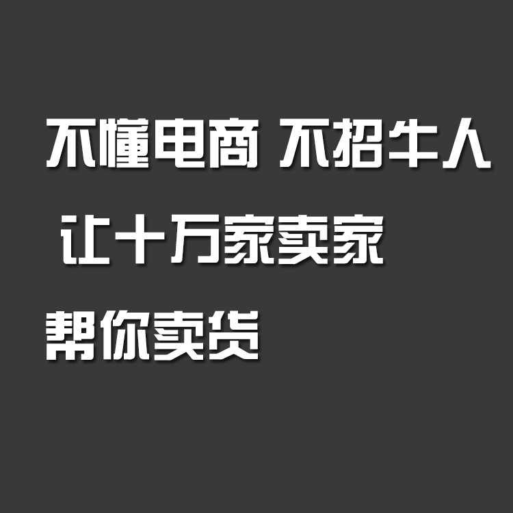 讓三十萬網(wǎng)店替你賣貨。