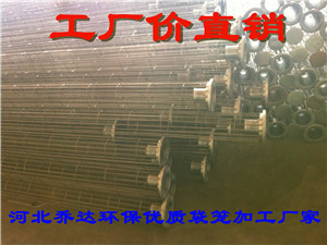 鄒城濾袋袋籠|304不銹鋼袋籠廠家|河北優(yōu)質(zhì)除塵袋籠