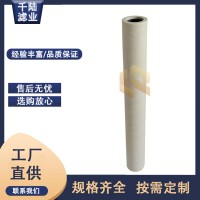 廠家替代銷售 PCHG-336 PECO派瑞天然氣管道濾芯
