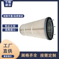 螺桿式除塵濾筒 覆膜防靜電螺栓吊裝除塵濾芯 廠家長期供應(yīng)