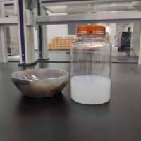 堿性納米鋁溶膠 涂料 不粘鍋 橡膠 粘結(jié)劑用九朋